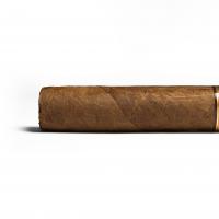 Aladino Classic Robusto Cigar - 1 Single
